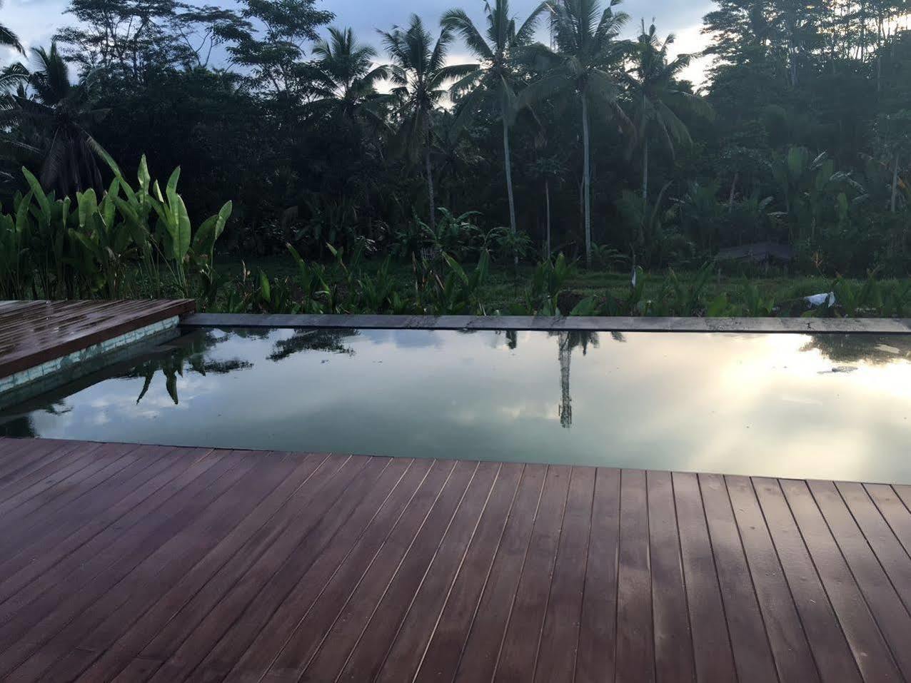 Villa Tegal Tis Ubud Payangan Exteriör bild